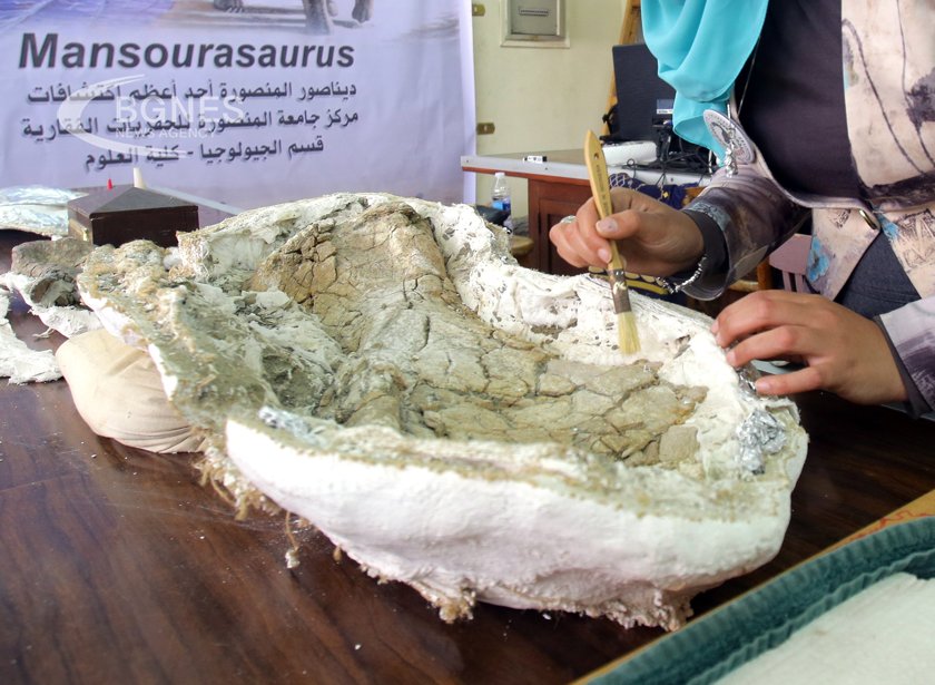 Палеонтолози от Националния природонаучен музей Смитсониън са открили неизвестен досега
