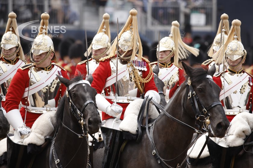 Снимка: Избягали армейски коне раниха четирима души в Лондон