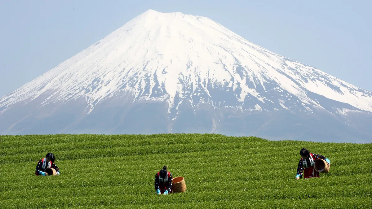 Летният сезон на японската планина Фуджи започва с ограничения за туристите