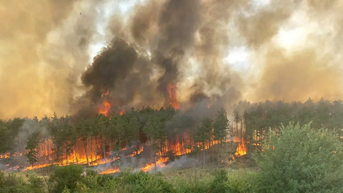 МЗХ и ИАГ стартират кампания за опазване на горите от пожари