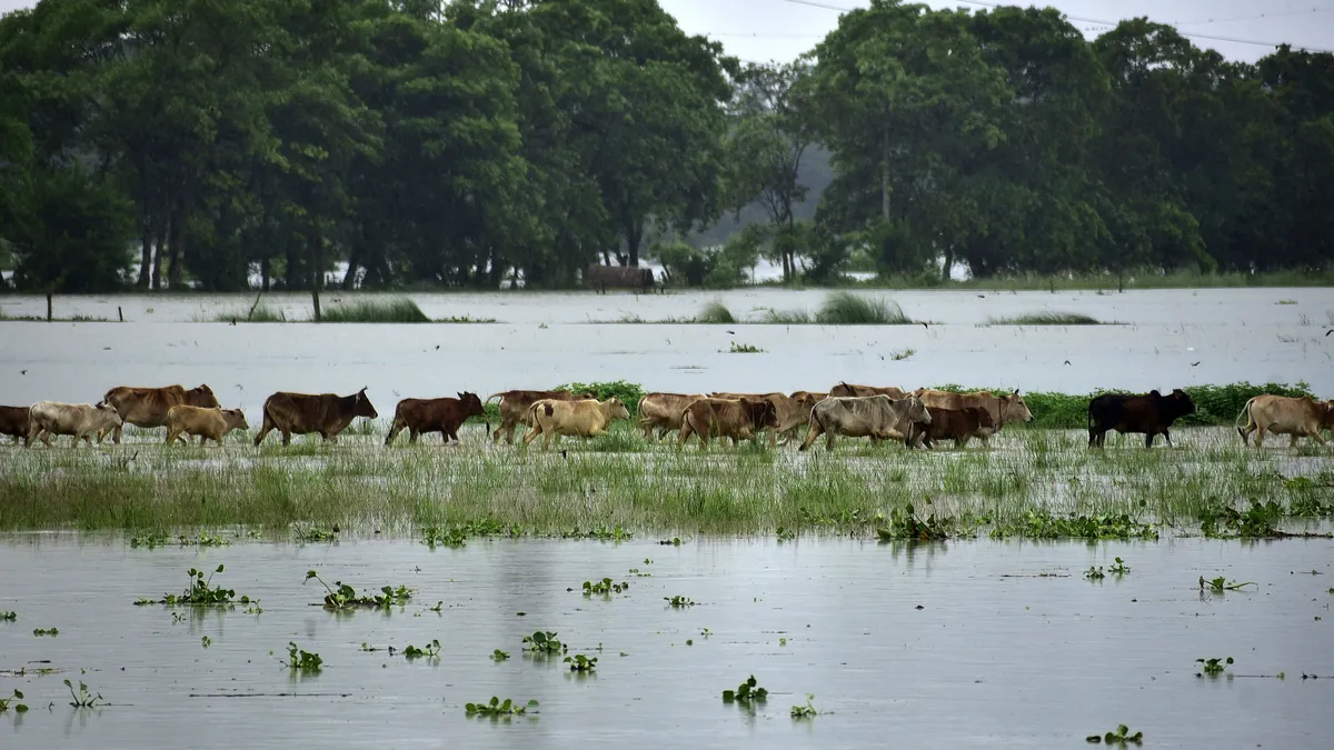 Най-малко 4 загинали при тежки наводнения в Индия 