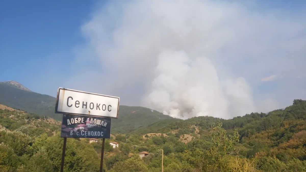 Няколко пожара бушуват в страната - край Симитли, Хасково, Ихтиман, Струмяни, Славянка