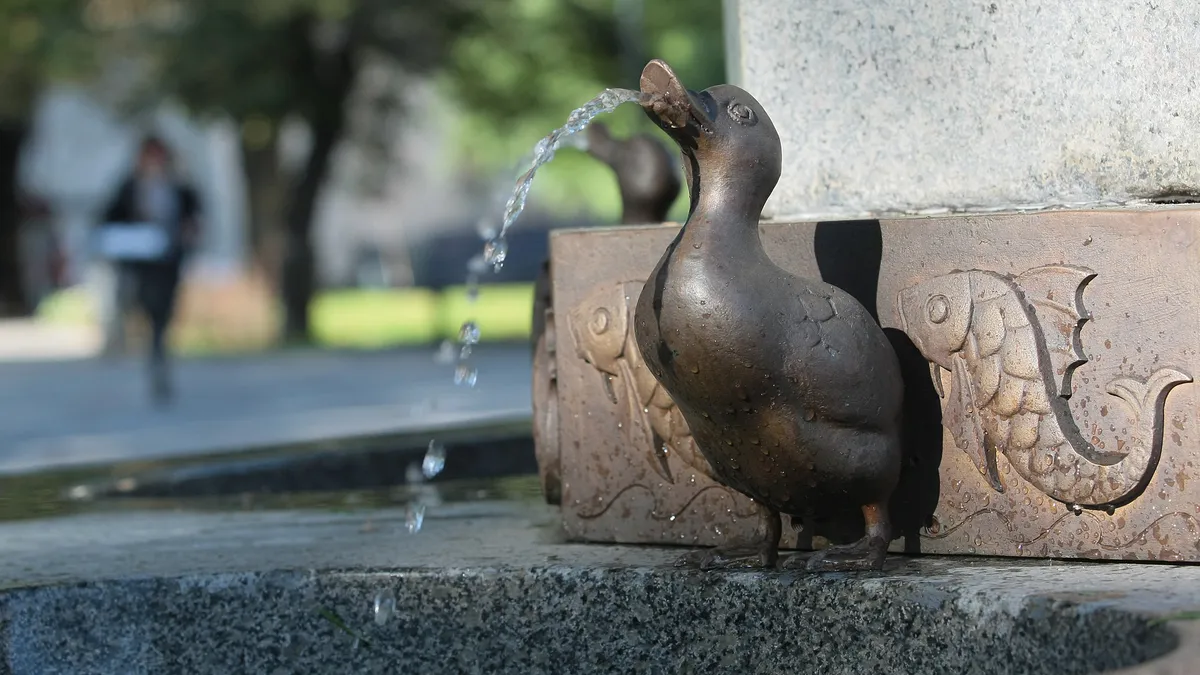 Плевен, Ловеч и Тетевен са на воден режим