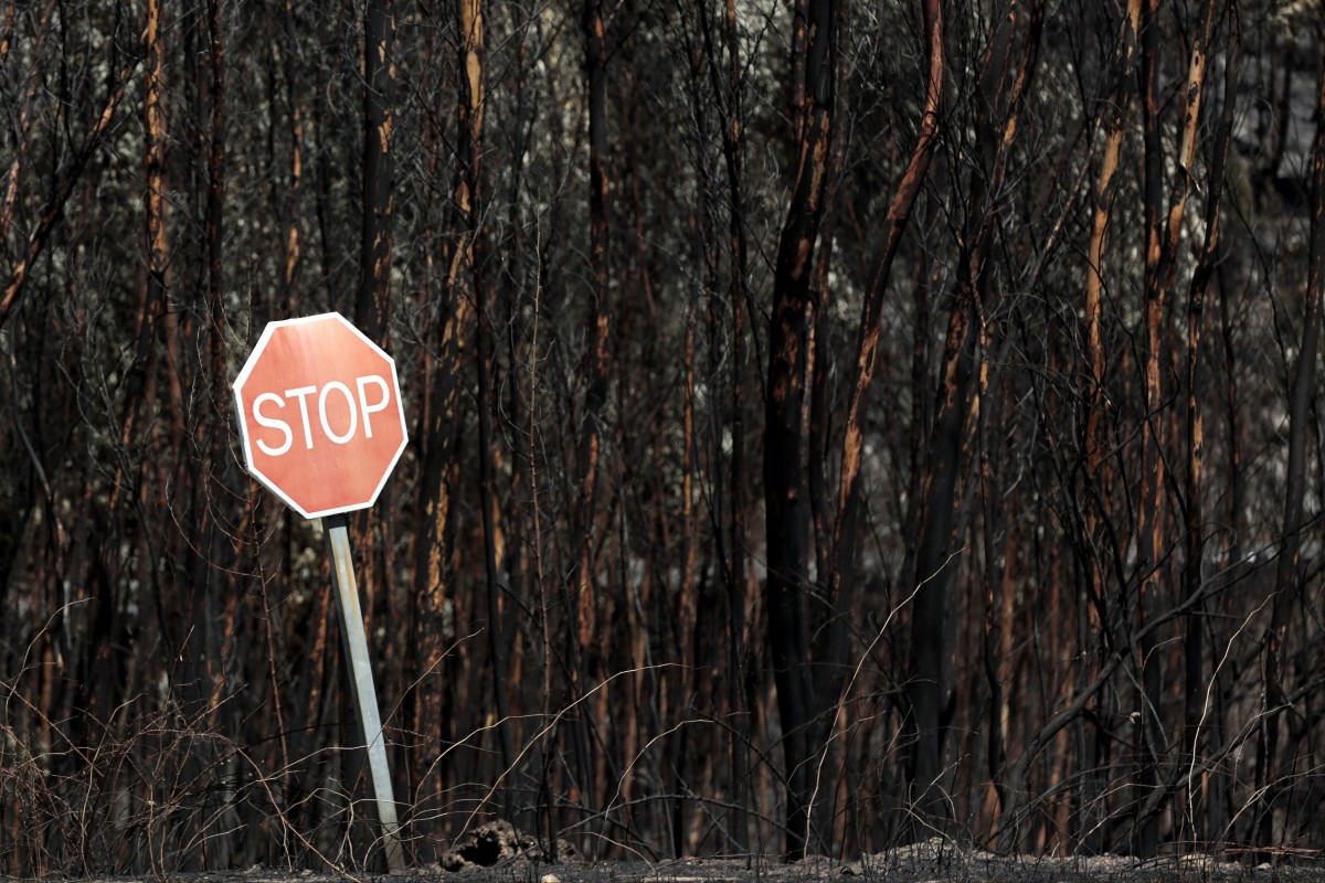 Пожароопасен сезон в горите. Как да опазим горите от пожари?