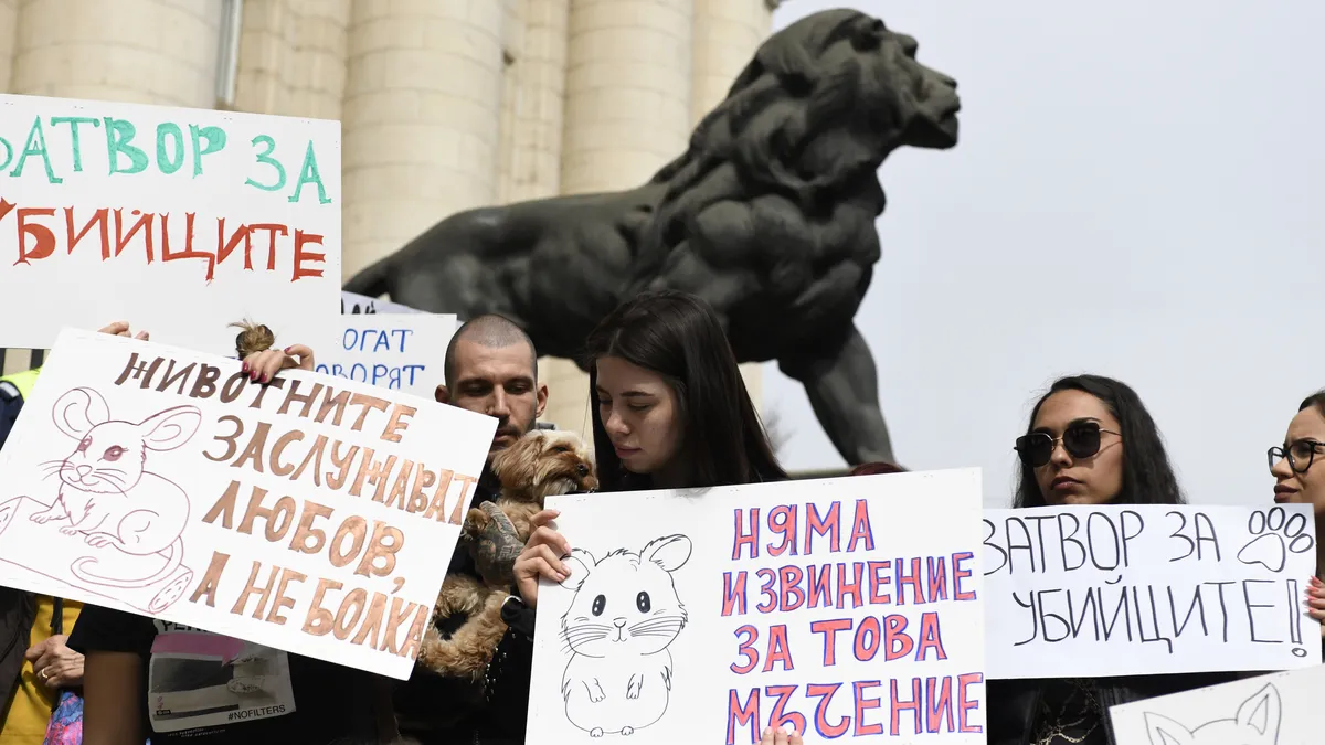 Стотици софиянци на протест с искане за най-строги наказания за насилници над животни