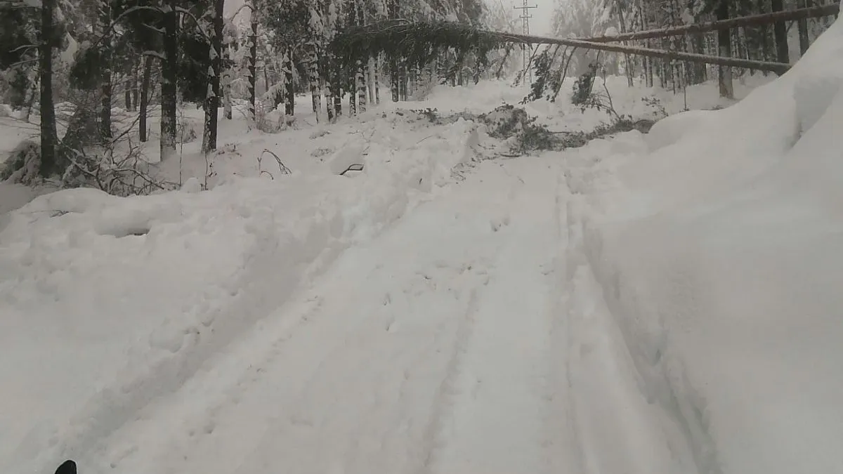 Възстановено е електрозахранването в курорта Боровец